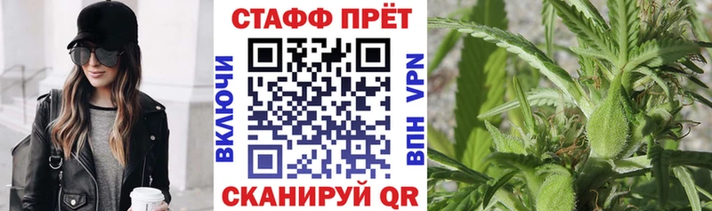 Продажа наркотиков Железногорск-Илимский Метадон СК Кокаин hydra рабочий сайт Меф мяу мяу Бошки Шишки Гашиш