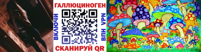 Псилоцибиновые грибы Magic Shrooms  что такое   Железногорск-Илимский 